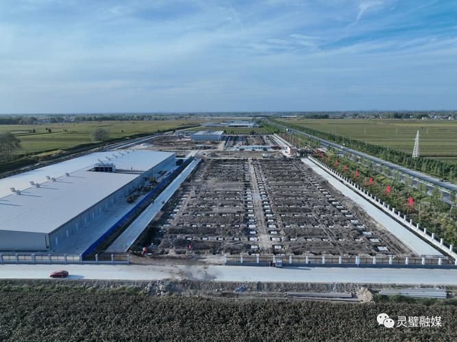 灵璧县日产工厂化双孢菇10吨，产品供不应求，引领食用农产品批发新潮流